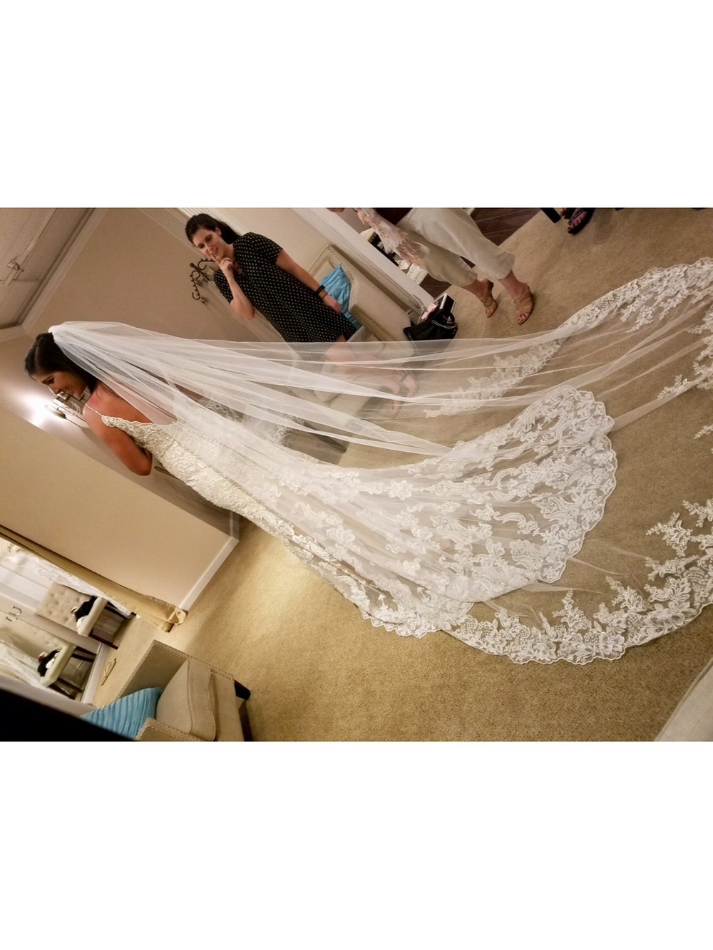 Cathedral Veil - Ivorye